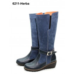 6211/HERBA